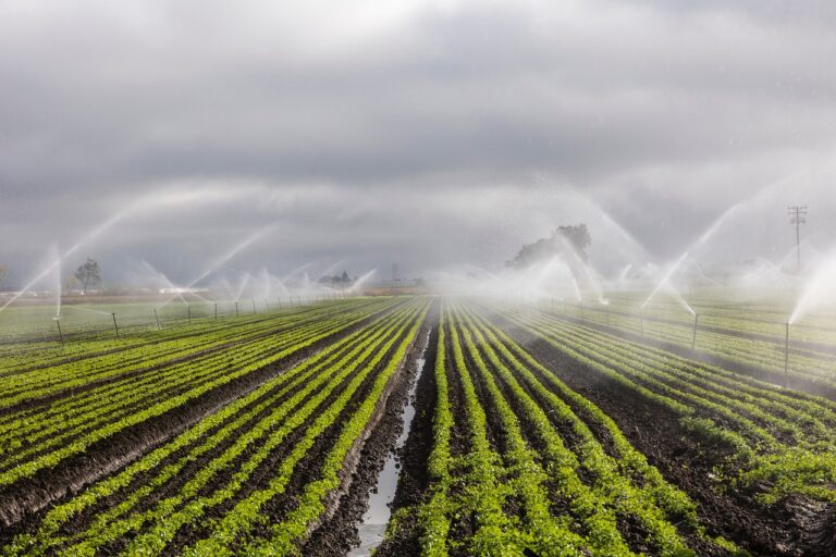 irrigation-7262563_1280